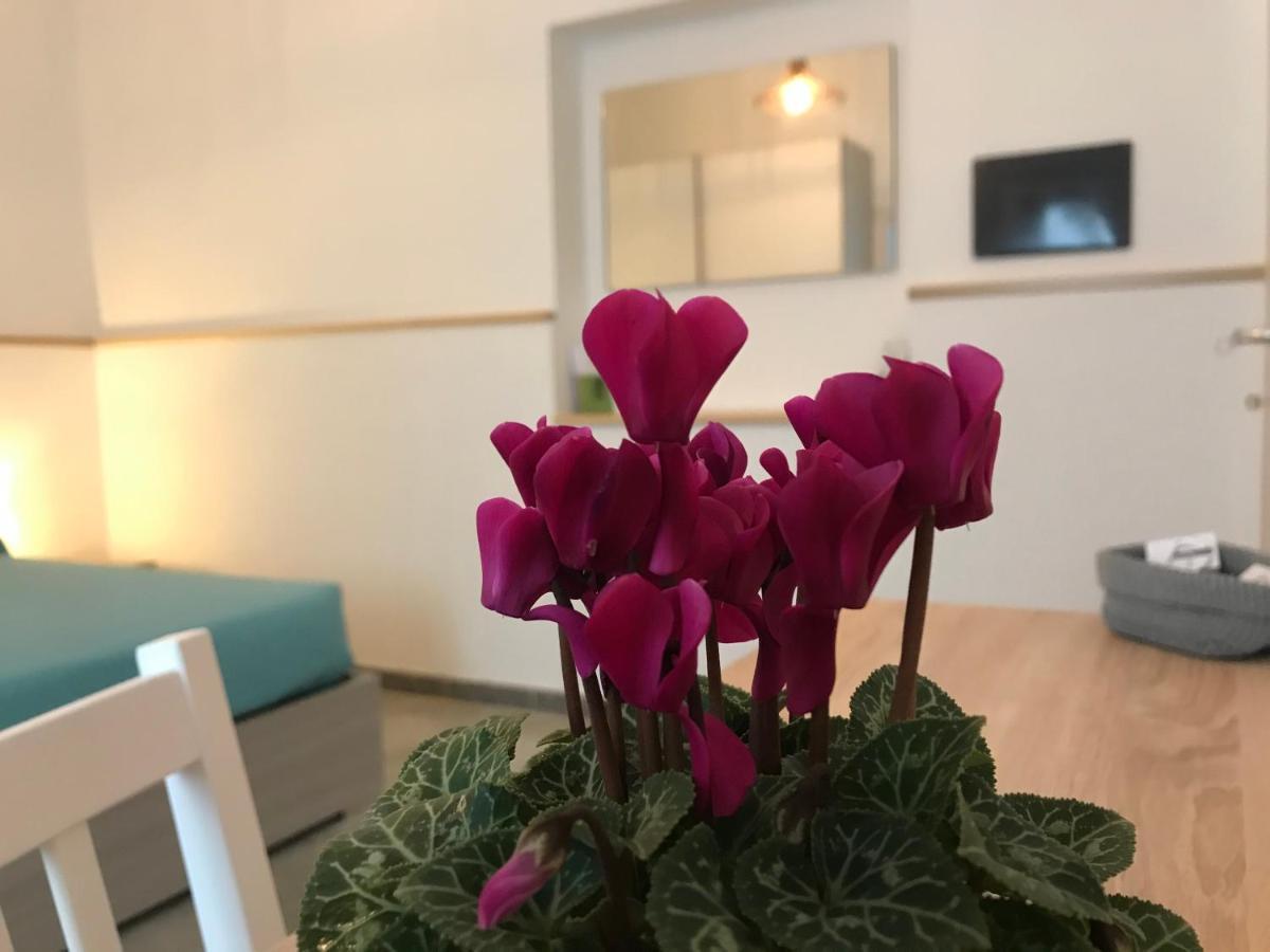 40° Parallelo Guest House 리올라사르도 외부 사진